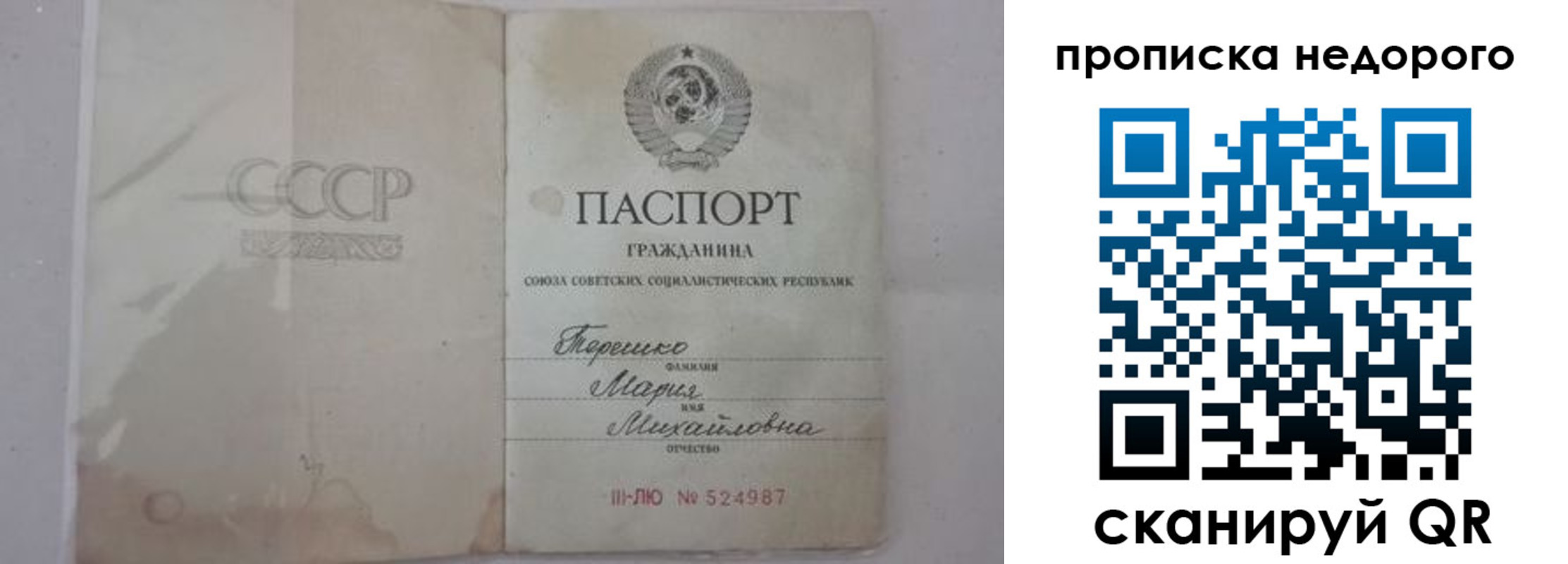 где прописаться в Невеле